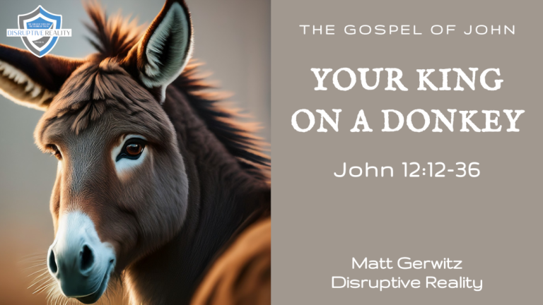 Your King On a Donkey – John 12:12-36